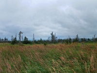 66669PaPeCrLe - At last! We hike the Skyline Trail, Cape Breton Highlands National Park, NS.jpg